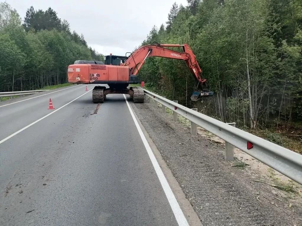 Мульчирование полосы отвода в Сысольском районе